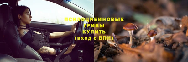 стафф Протвино