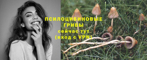 стафф Протвино