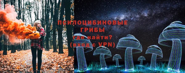 стафф Протвино